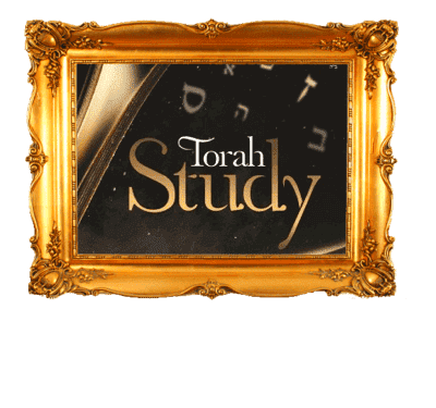 Pourquoi Étudier la Torah 